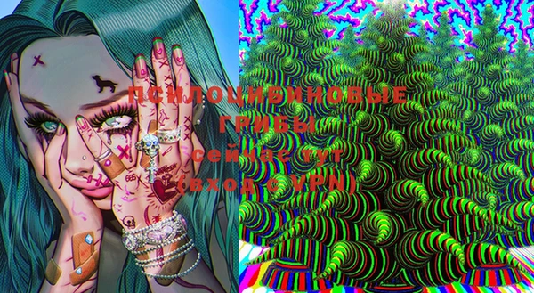 ГАЛЛЮЦИНОГЕННЫЕ ГРИБЫ Чита