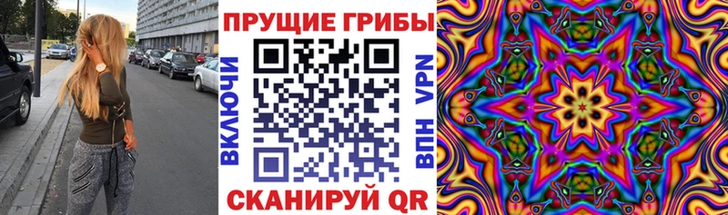 Галлюциногенные грибы Psilocybine cubensis  купить   Суджа 